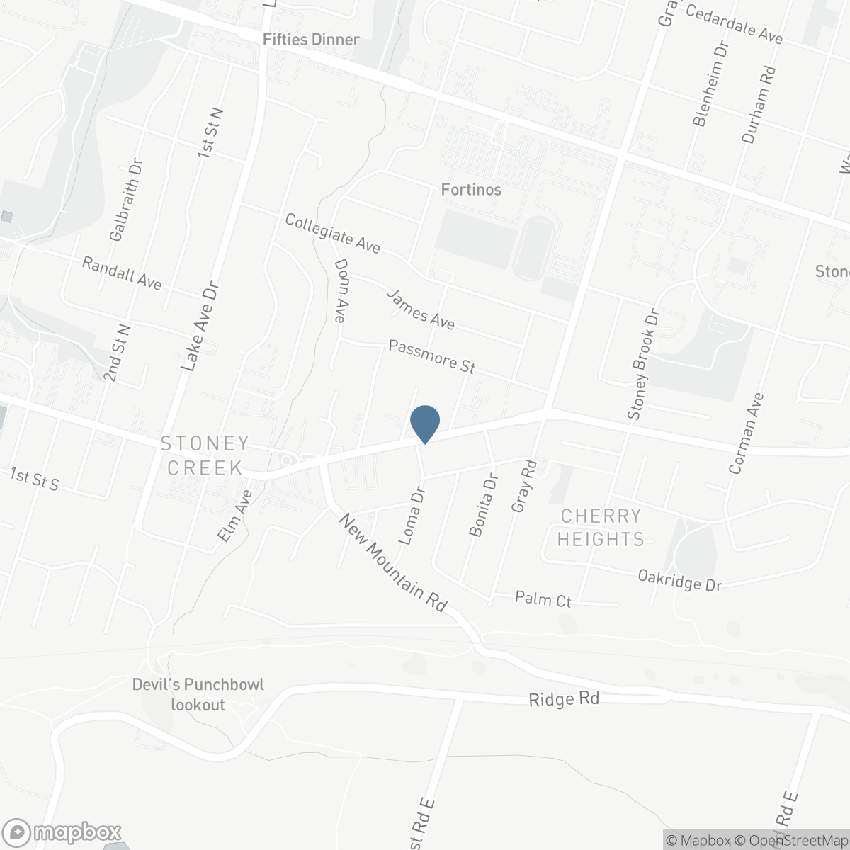 115 KING STREET E, Hamilton, Ontario L8G 1L2